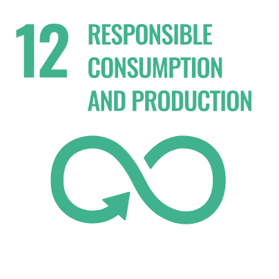 UN Sustainable Development Goal 12: Responsible consumption and production