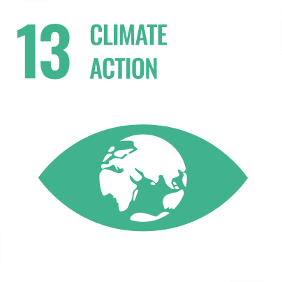 UN Sustainable Development Goal 13: Climate action